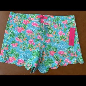Lilly x Disney Buttercup Size 6 NWT (ISO SIZE 4)